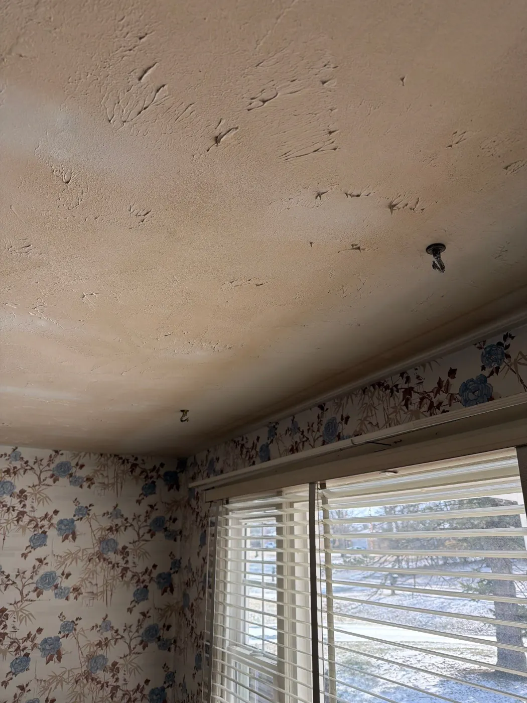 Moisture meter reading on drywall in Oaklandon water loss